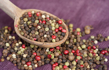 Peppers  of various colors in the wooden spoon 