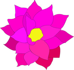 Vector hand painted nature floral contour illustration with pink petals and yellow center lotus asian flower graphic elements on the white background