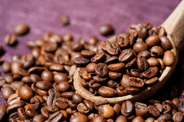 Close up of roasted coffee beans in the wooden spoon and around it. 