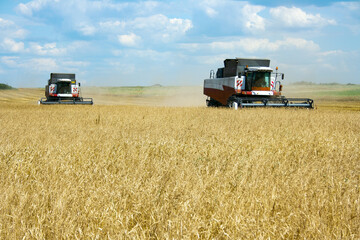 Obraz premium Two combines in a field with grain crops