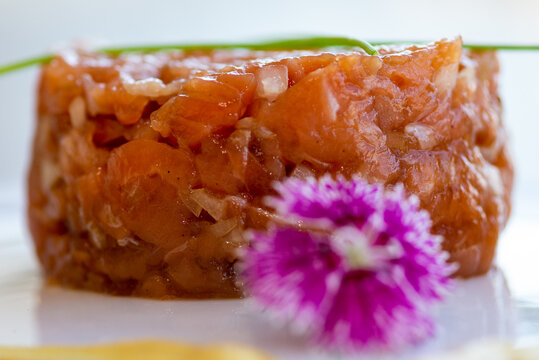 Homemade Salmon Tartare dish by amateur chef for culinary blogs, decorated with eatable purple flower and mostard.