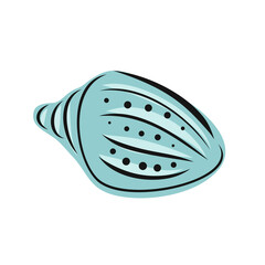 Hand drawn seashell. Vector art illustration. Sketch and doodle graphic collrction.