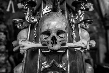 Fototapeta na wymiar Skull with bone