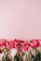 Beautiful peony tulip flowers bouquet on pink background