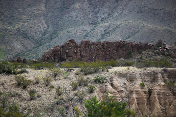 Desert Landscape from Big Bend National Park