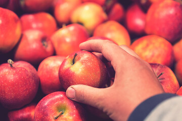 Close up view of fruits shelf in supermarket. hand taking red apples in the store. male hand taking fruit from a shelf. man holds one selected apple in a store or market. Juicy and fresh fruits. toned