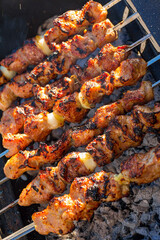 grilled meat on the grill