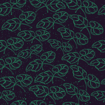 Seamless Pattern with Hand Drawn Leaves of Spinach © Jule-Marigold