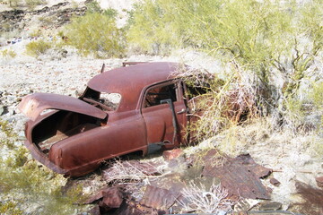 Arizona Desert Relic