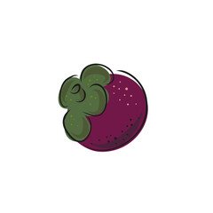 Hand drawn mangosteen tropical fruit. Fresh organic food. Vector illustration with sketch.