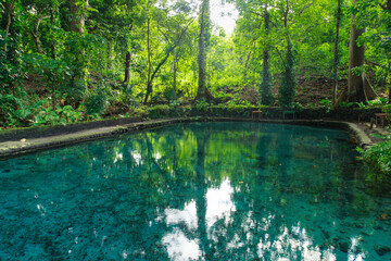 El Ojo de Agua is natural spring pool on Ometepe Island in Nicaragua.