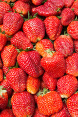  strawberries background. fresh raw  sweet strawberry sold on the counter of a store or market