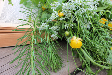 Bunch of green wild plants and yellow buttercups flowers on an open book. Summer still life
