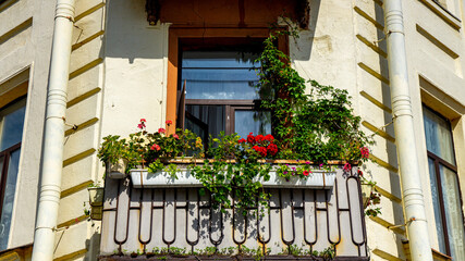 Balcony of an old building, flowers.