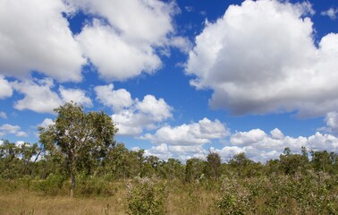 Fototapeta na wymiar sky and clouds panorama