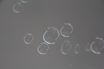Bubbles