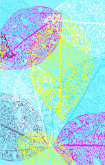 Vector flower set. Colorful flower collection with leaves watercolor drawing. Spring or summer design for invitation, wedding or greeting cards