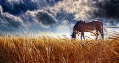 Horse grazing in field with stormy sky. Digital painting © rolffimages