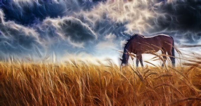 Horse grazing in field with stormy sky. Digital painting