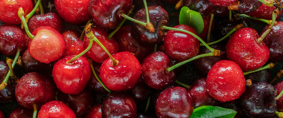 Red cherry closeup background, fruit banner.