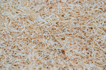 A row of scattered wood shavings in a carpenter's shop.