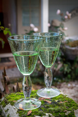 Two wine glasses placed on a mossy post outdoors