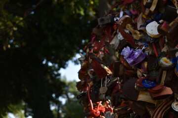 Lovelock tree with many colorful locks