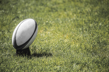 White Rugby ball over the grass in the stadium. Team sport concept