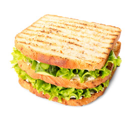 Tasty cucumber sandwich on white background