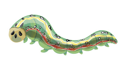 Stock vector illustration. Green caterpillar with red and yellow stripe, black and white dots, isolated on white background