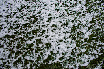 Grass and snow