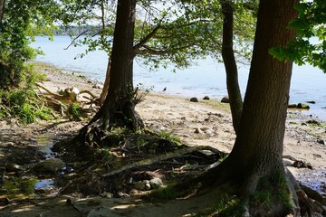 Ostseeküste der Lübecker Bucht zwischen Sierksdorf und Neustadt in Holstein