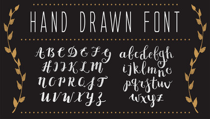 Vector Hand Drawn Script Alphabet. Letters Written with a Brush Pen with Ink