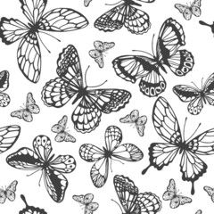 Vector butterflies pattern. Abstract seamless background.
