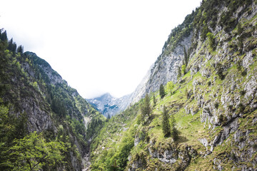 Primarily green rock landscape in the mountains