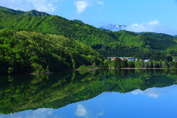 Fototapeta na wymiar 新緑の錦秋湖