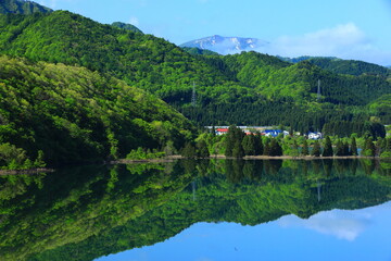 Fototapeta premium 新緑の錦秋湖