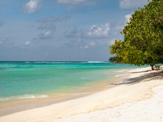 Fototapeta na wymiar Beautiful shot of a white sand and palm tree coastline of a tropical island.