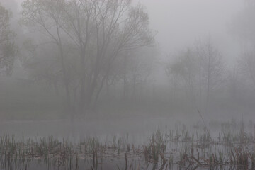 Mist in the morning