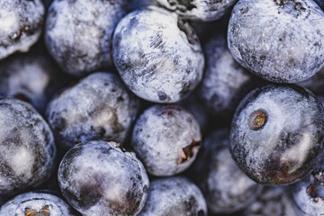 Leckere Blaubeeren von oben als Hintergrund