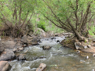 Creek HDR