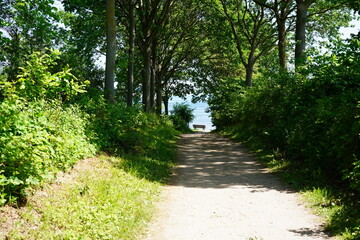 Fototapeta premium Wanderweg an der Ostsee mit Blick auf eine leere Sitzbank am Meer im Sonnenlicht
