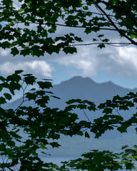 木々の間から見た支笏湖と風不死岳（Lake Shikotsu and Mt. Fuppushi seen from among the trees）