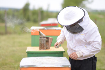 Beekeeper working collect honey. Beekeeping concept.