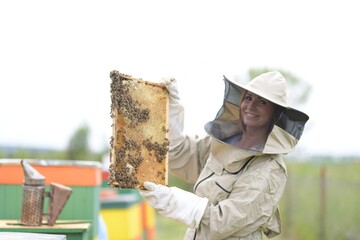 Beekeepeer holding a frame with honeycomb and bees