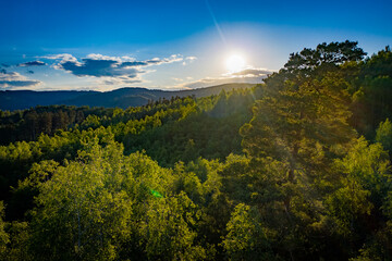 Obraz premium Harz im Abendlicht