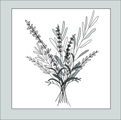 Fototapeta na wymiar A bouquet of various plants and herbs. Outline drawing on a white background. Square card, sticker, sticker. Vector drawing.