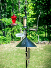 Squirrel trying to climb onto a bird feeder but stopped by a metal baffle - 355971081