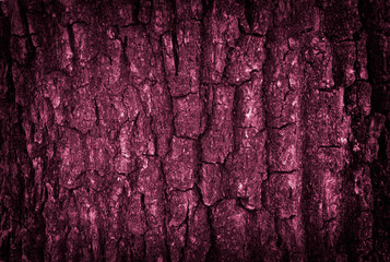 tree bark texture. burgundy bark background with copy space