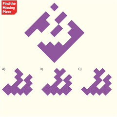 Visual intelligence activity - Find the extracted shape